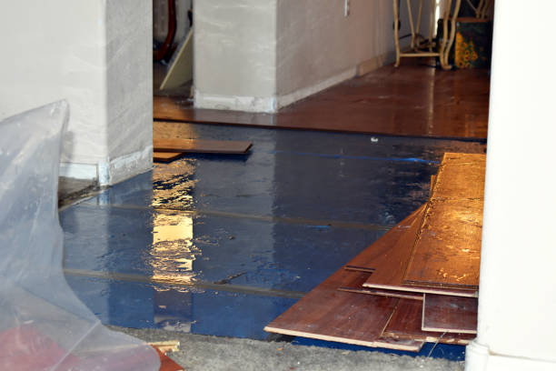 Professional Burst Pipe Cleanup technician working in Saint John, WA